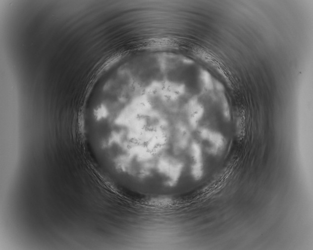 X0000096180882200802081457