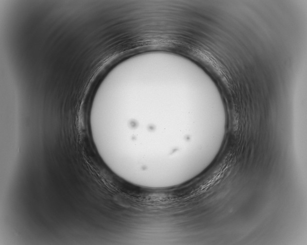 X0000096180883200802081457