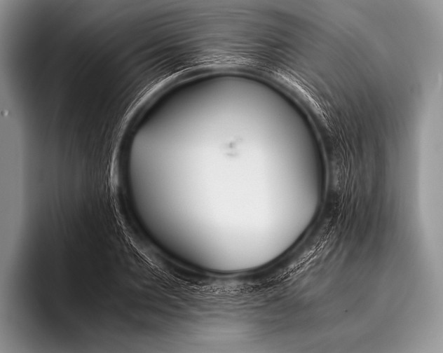 X0000096180885200802081457