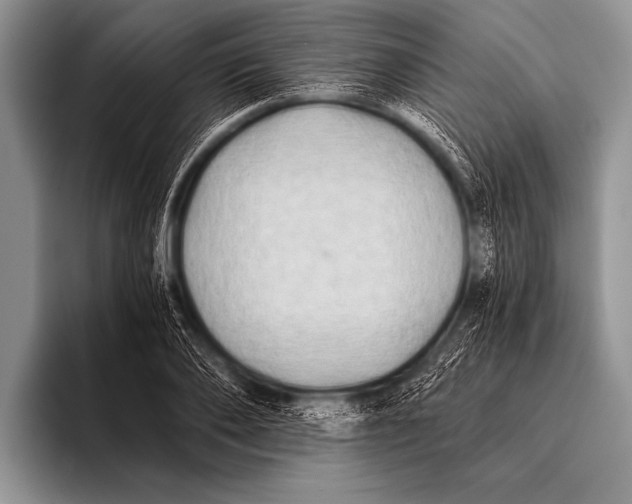 X0000096180886200802081457