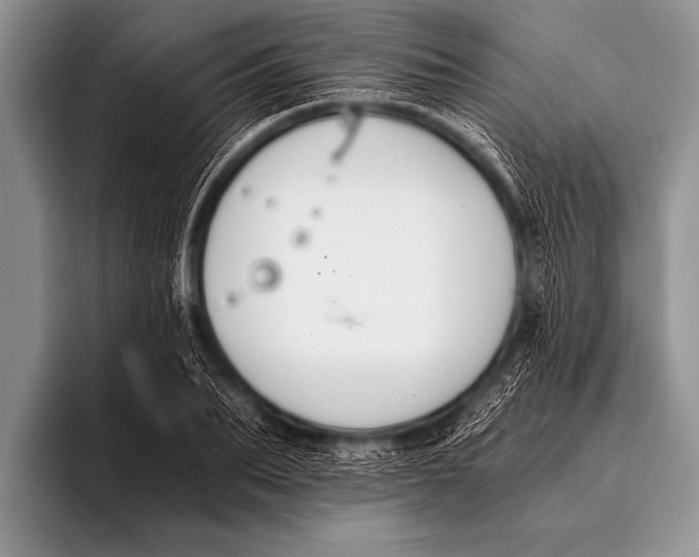 X0000096180887200802081457