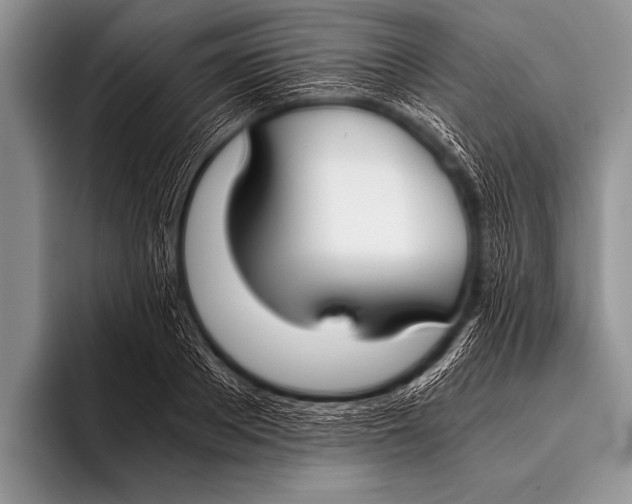 X0000096180889200802081457