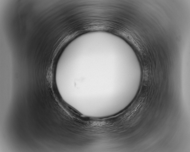 X0000096180890200802081457