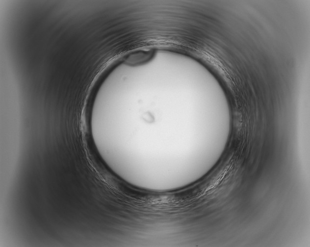 X0000096180891200802081457
