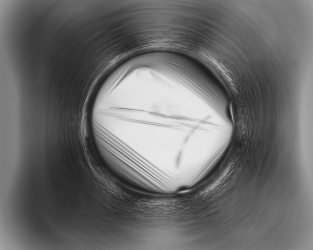 X0000096180892200802081457