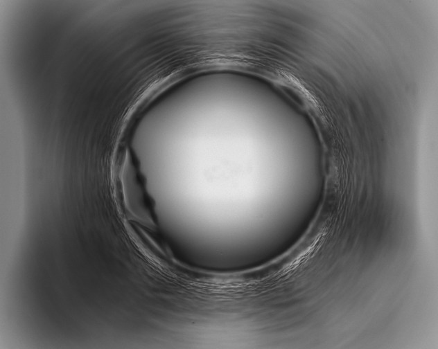 X0000096180893200802081457