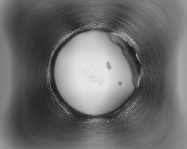 X0000096180894200802081457