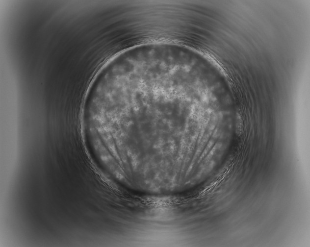 X0000096180895200802081457