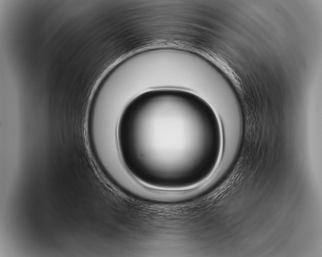 X0000096180896200802081457