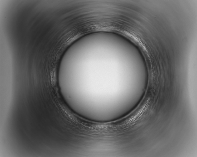 X0000096180897200802081457