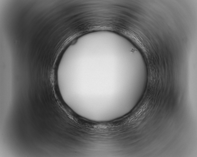 X0000096180898200802081457