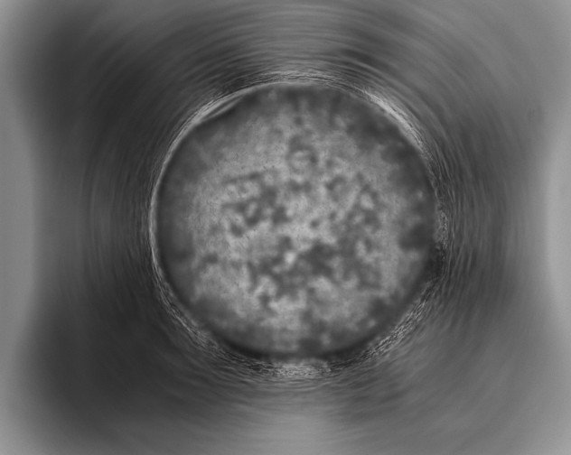 X0000096180899200802081457