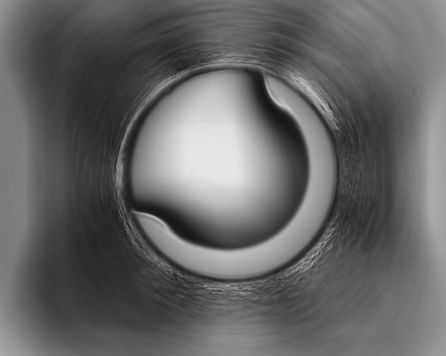 X0000096180900200802081457