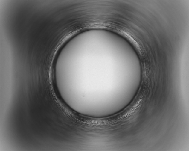 X0000096180901200802081457