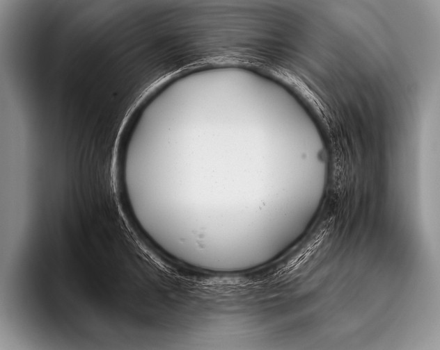 X0000096180902200802081457