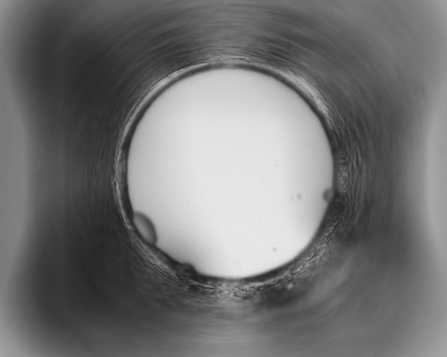 X0000096180903200802081457