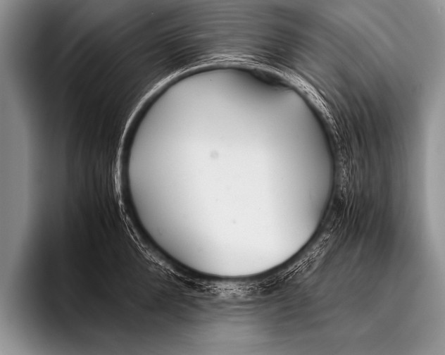 X0000096180904200802081457