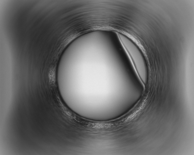 X0000096180905200802081457