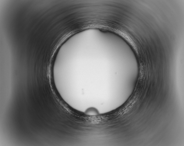 X0000096180906200802081457