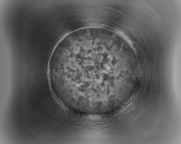 X0000096180907200802081457