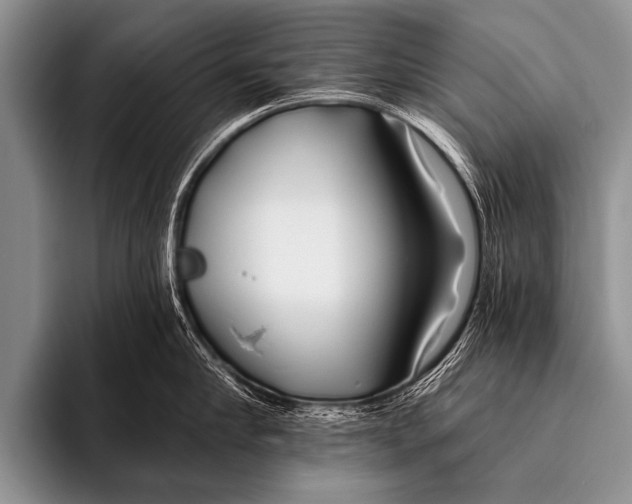 X0000096180910200802081457