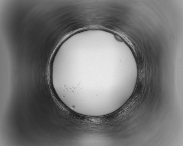 X0000096180911200802081457