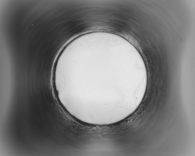 X0000096180912200802081457