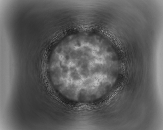 X0000096180913200802081456