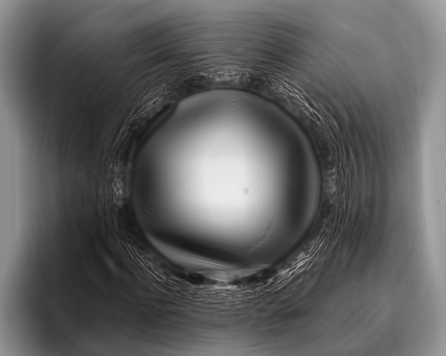 X0000096180916200802081456