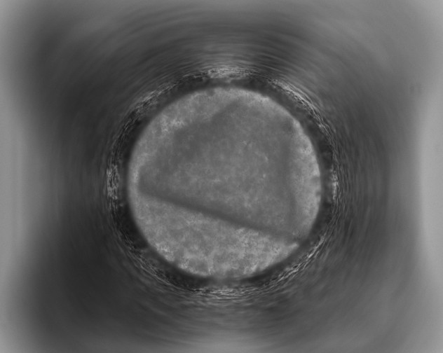 X0000096180917200802081456