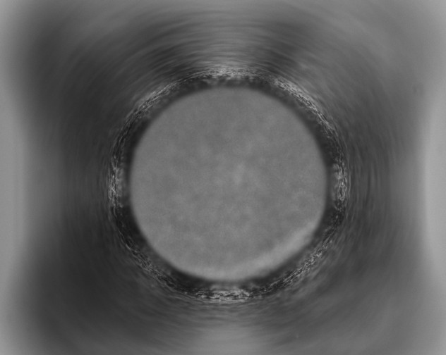 X0000096180918200802081456