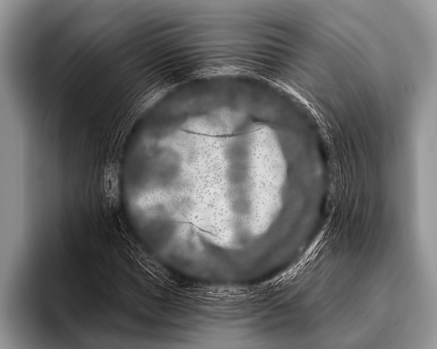 X0000096180921200802081456