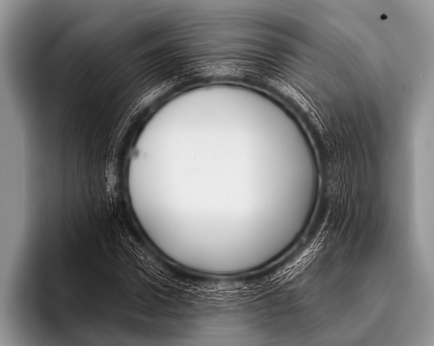 X0000096180922200802081456