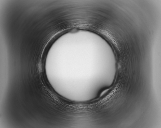 X0000096180924200802081456