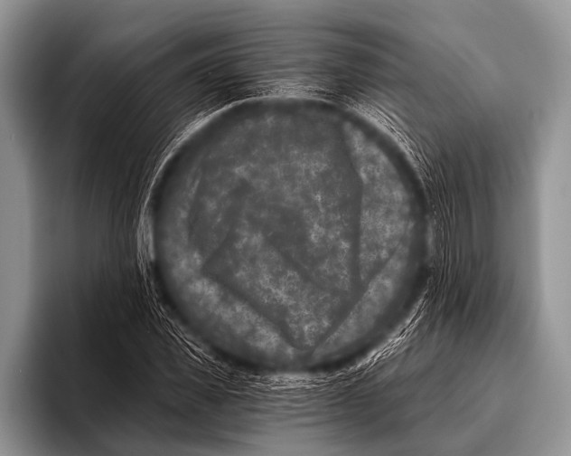 X0000096180925200802081456