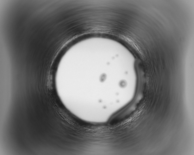 X0000096180926200802081456