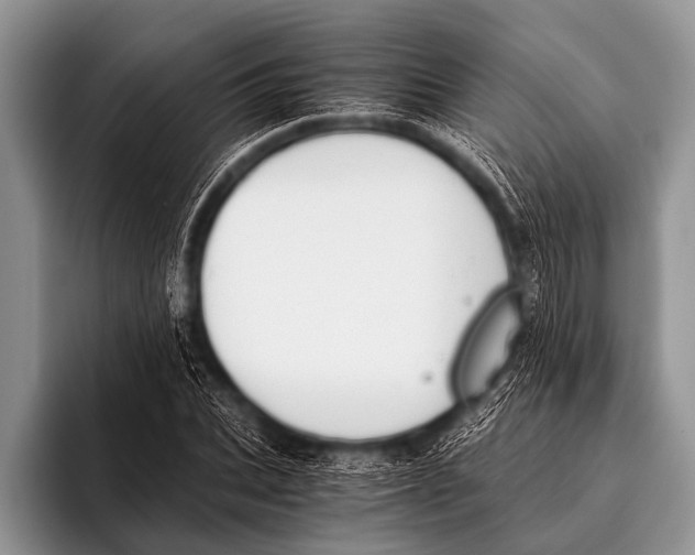X0000096180927200802081456