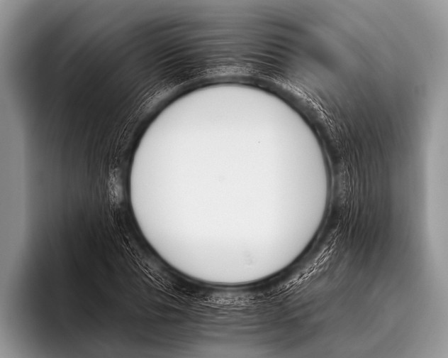 X0000096180929200802081456