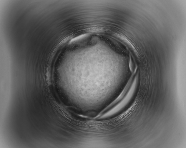 X0000096180930200802081456