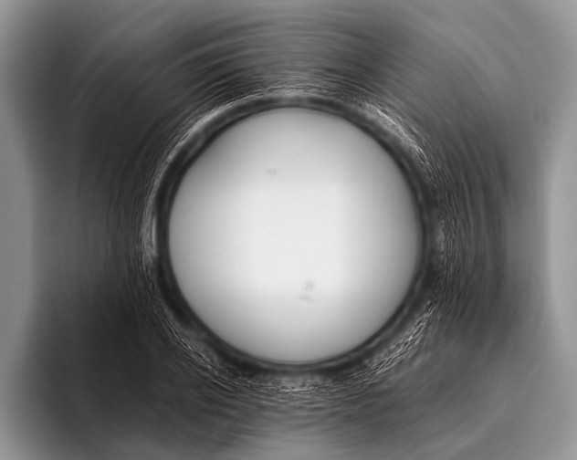 X0000096180934200802081456