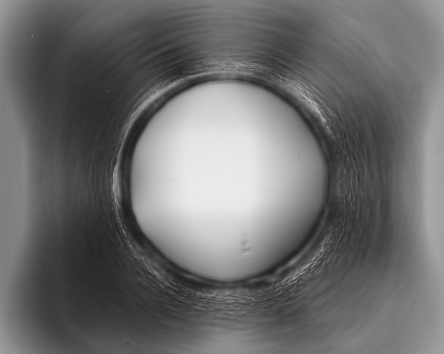X0000096180936200802081456