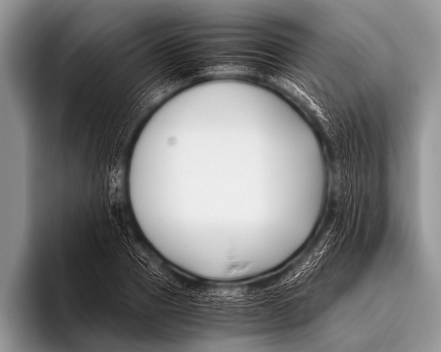 X0000096180937200802081456