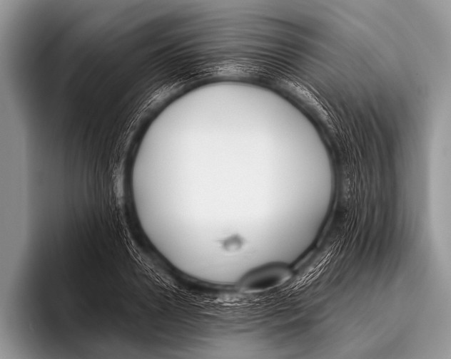 X0000096180938200802081456