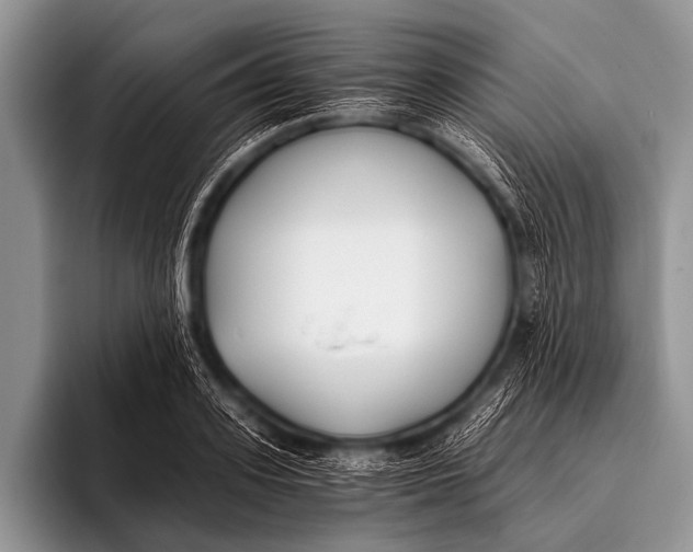 X0000096180939200802081456
