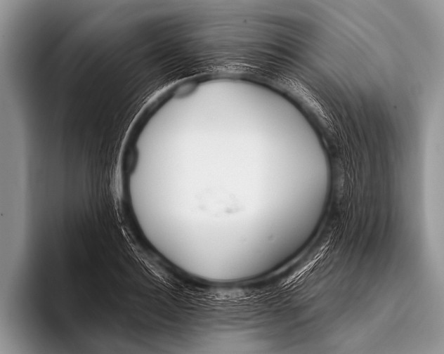 X0000096180940200802081456