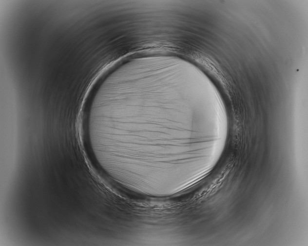 X0000096180941200802081456
