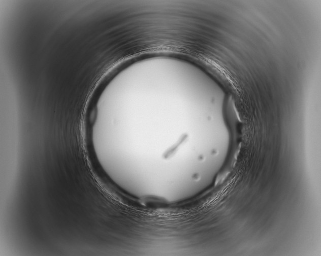 X0000096180942200802081457