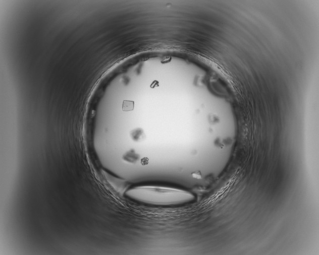 X0000096180943200802081457