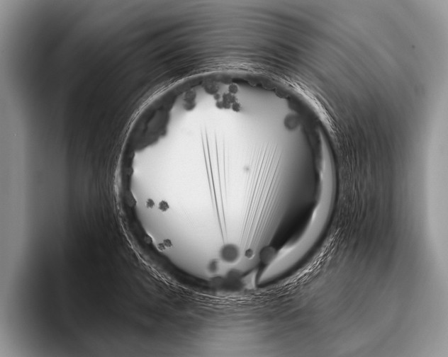 X0000096180944200802081457