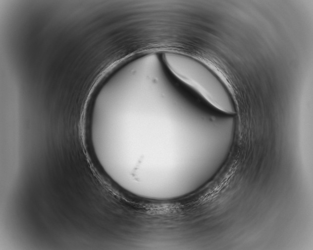 X0000096180949200802081457